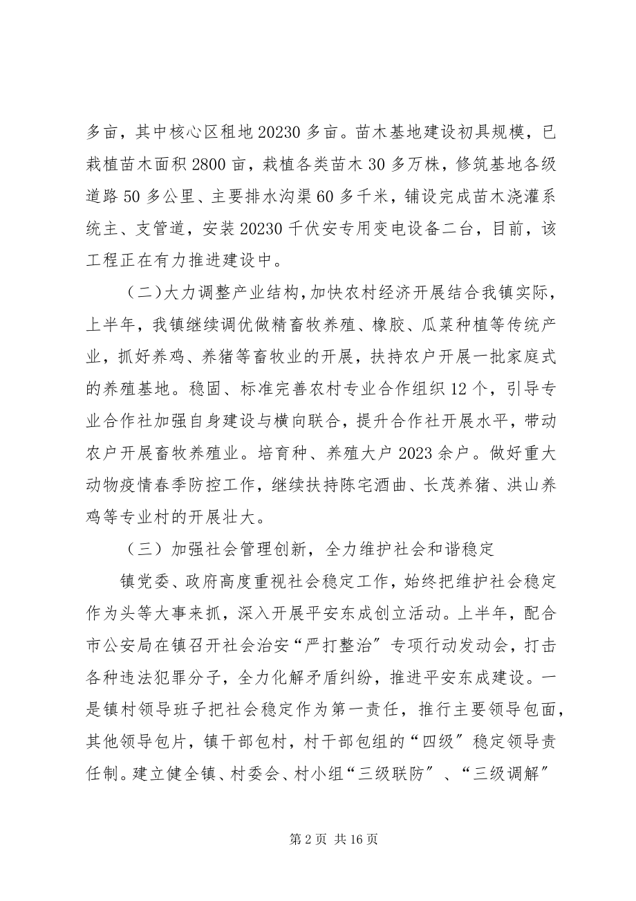 2023年乡镇上半年重点工作总结和下半年工作计划.docx_第2页