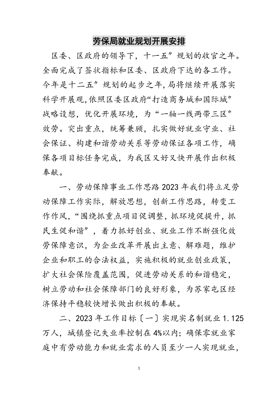 2023年劳保局就业规划发展安排范文.doc_第1页