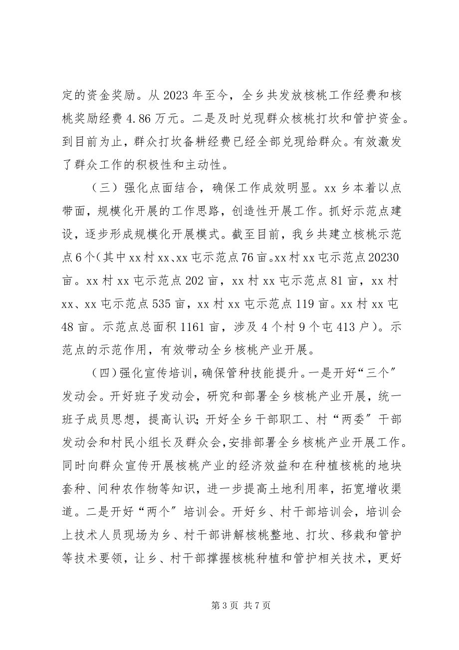 2023年核桃种植和管护工作的思考与对策.docx_第3页