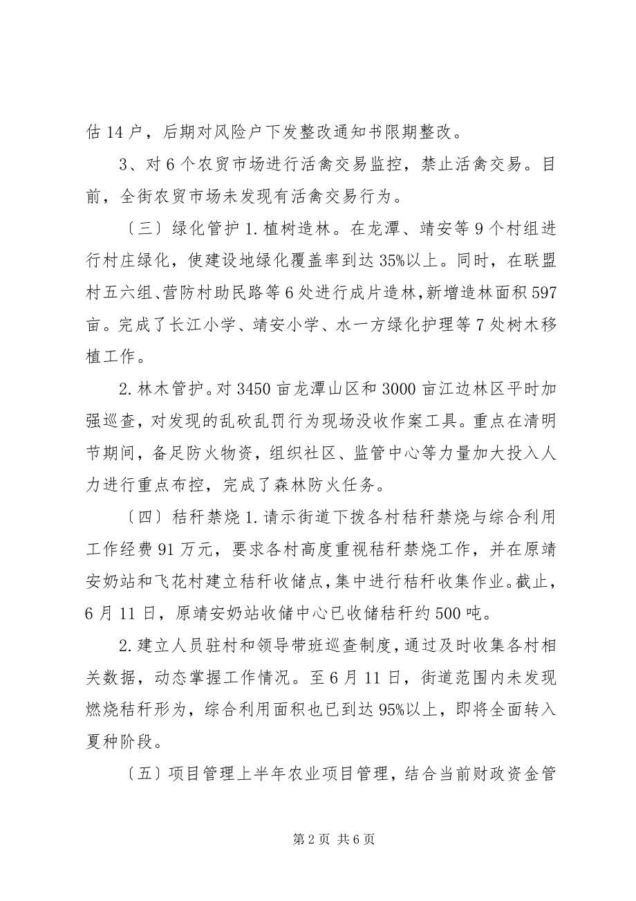 2023年街道农副业科上半年工作总结.docx_第2页