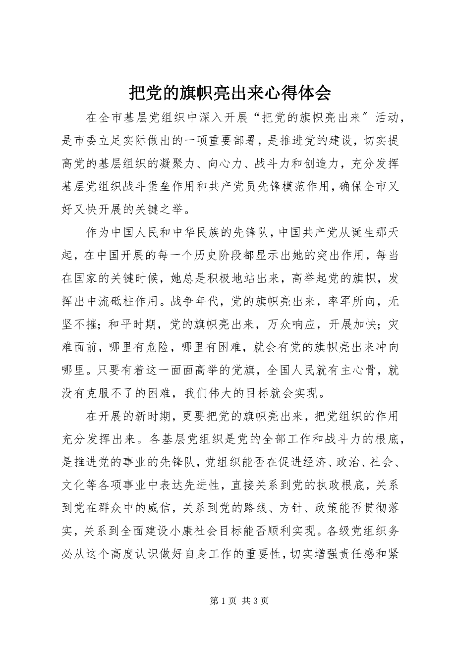 2023年把党的旗帜亮出来心得体会新编.docx_第1页