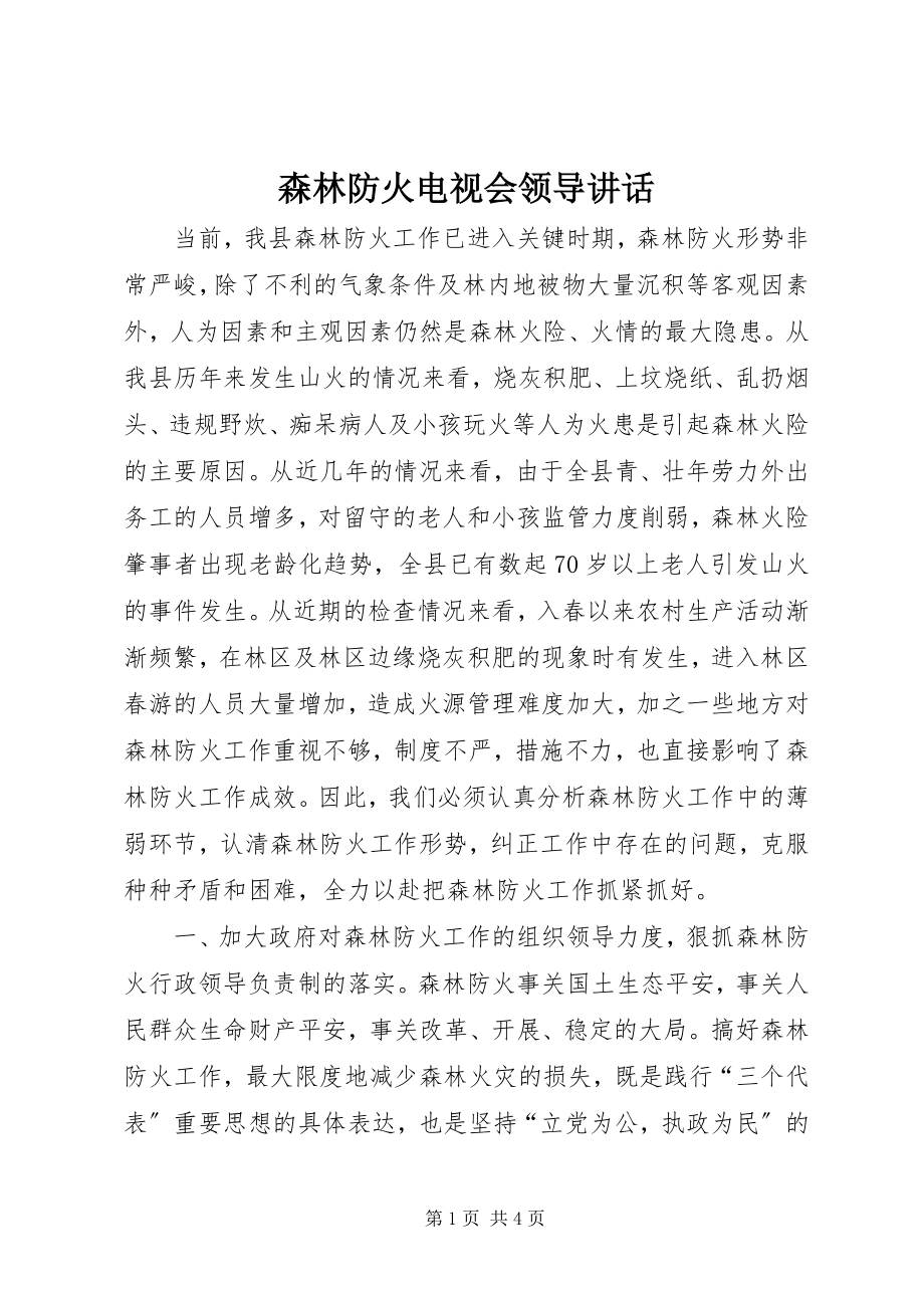 2023年森林防火电视会领导致辞.docx_第1页