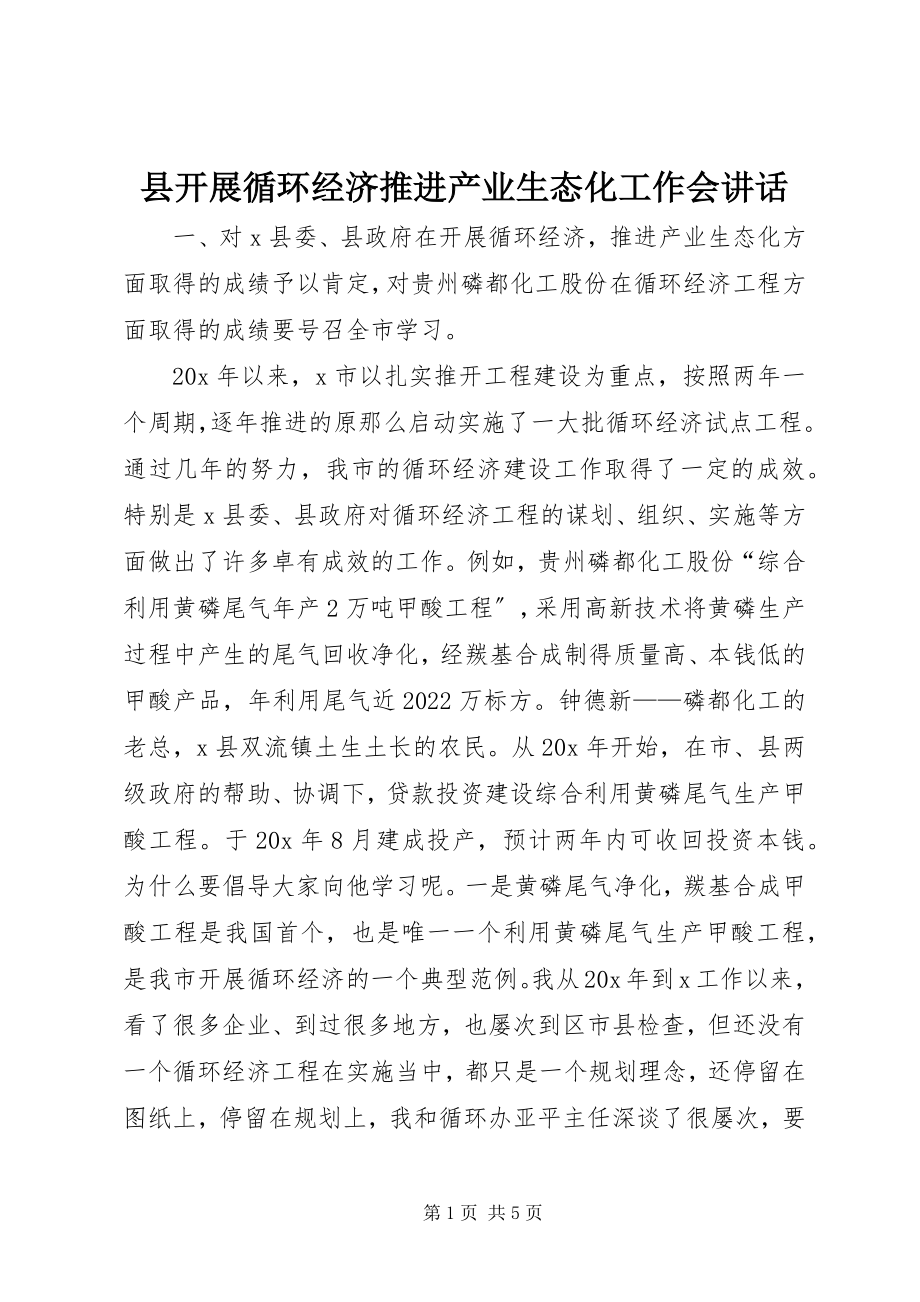 2023年县发展循环经济推进产业生态化工作会致辞.docx_第1页