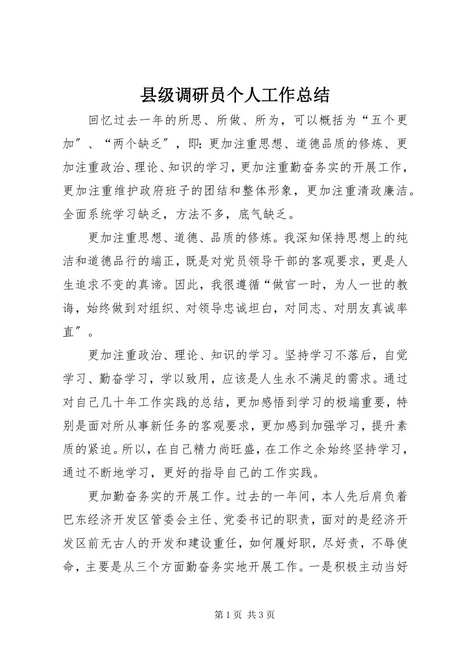 2023年县级调研员个人工作总结.docx_第1页