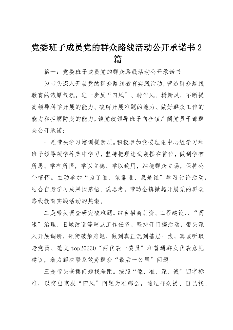 2023年党委班子成员党的群众路线活动公开承诺书2篇.docx_第1页