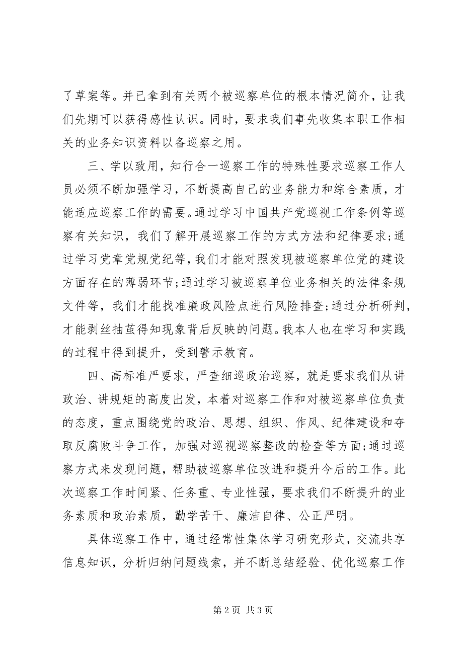 2023年市委专项巡查组巡查员个人工作总结.docx_第2页