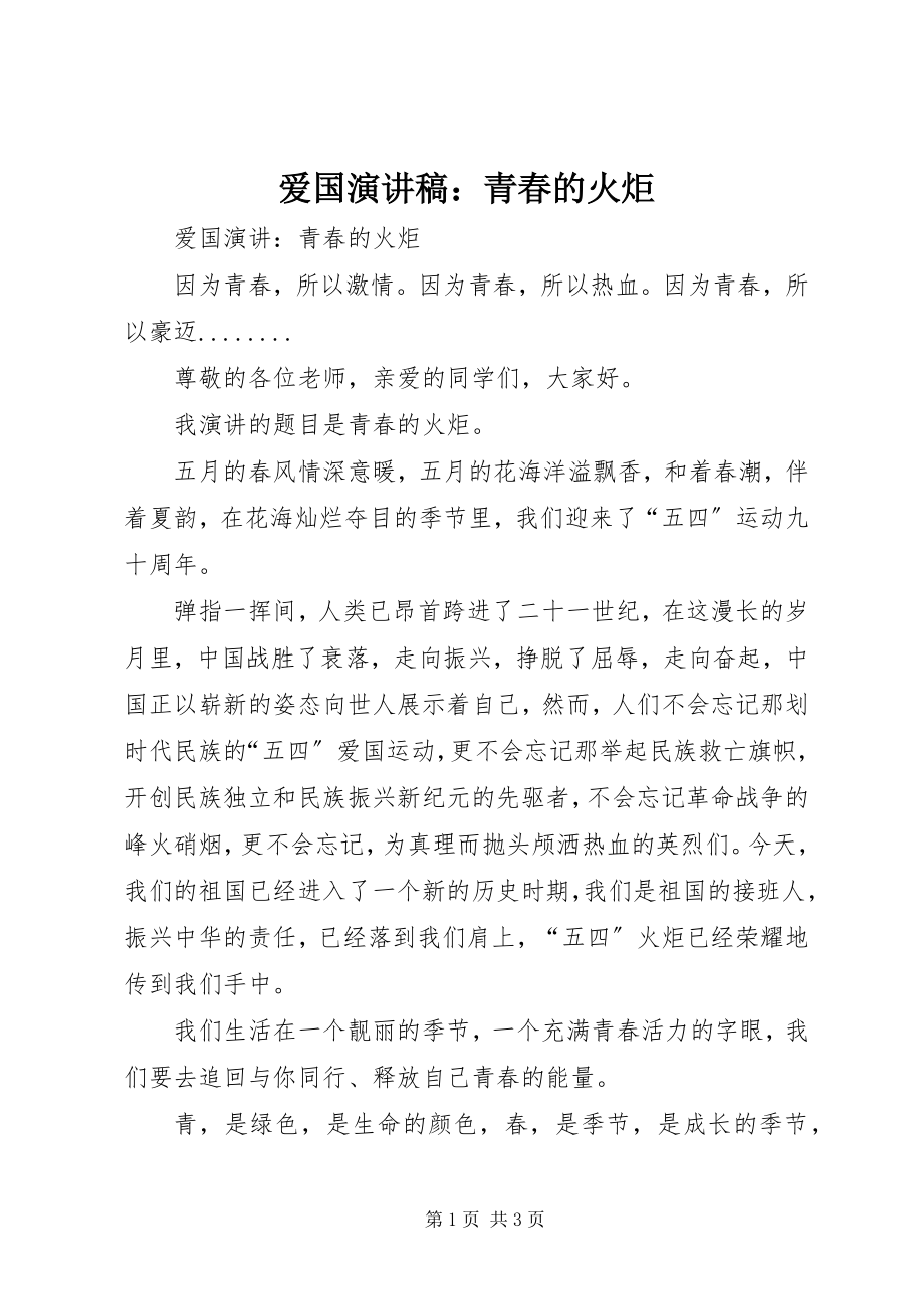 2023年爱国演讲稿青春的火炬新编.docx_第1页