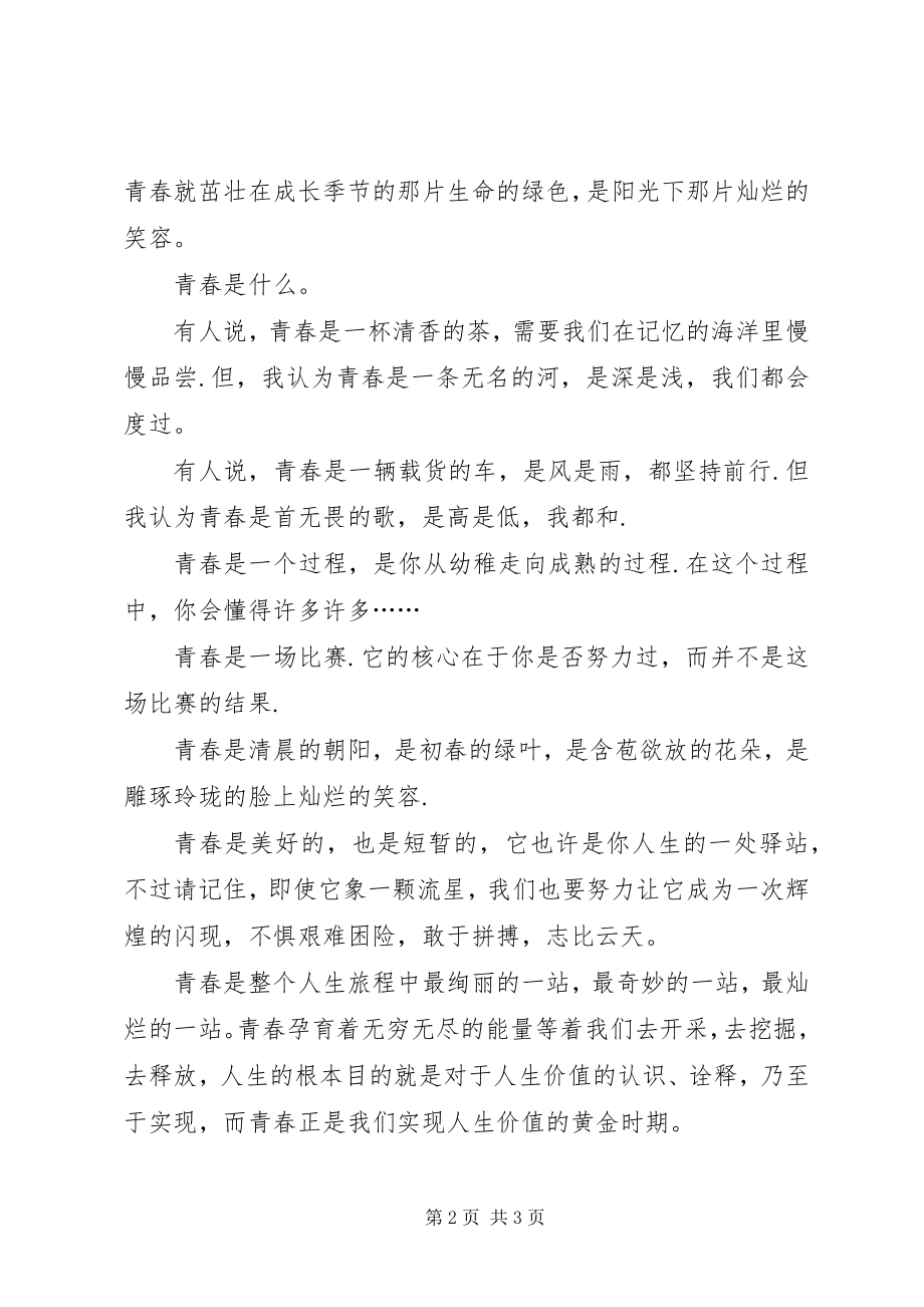 2023年爱国演讲稿青春的火炬新编.docx_第2页