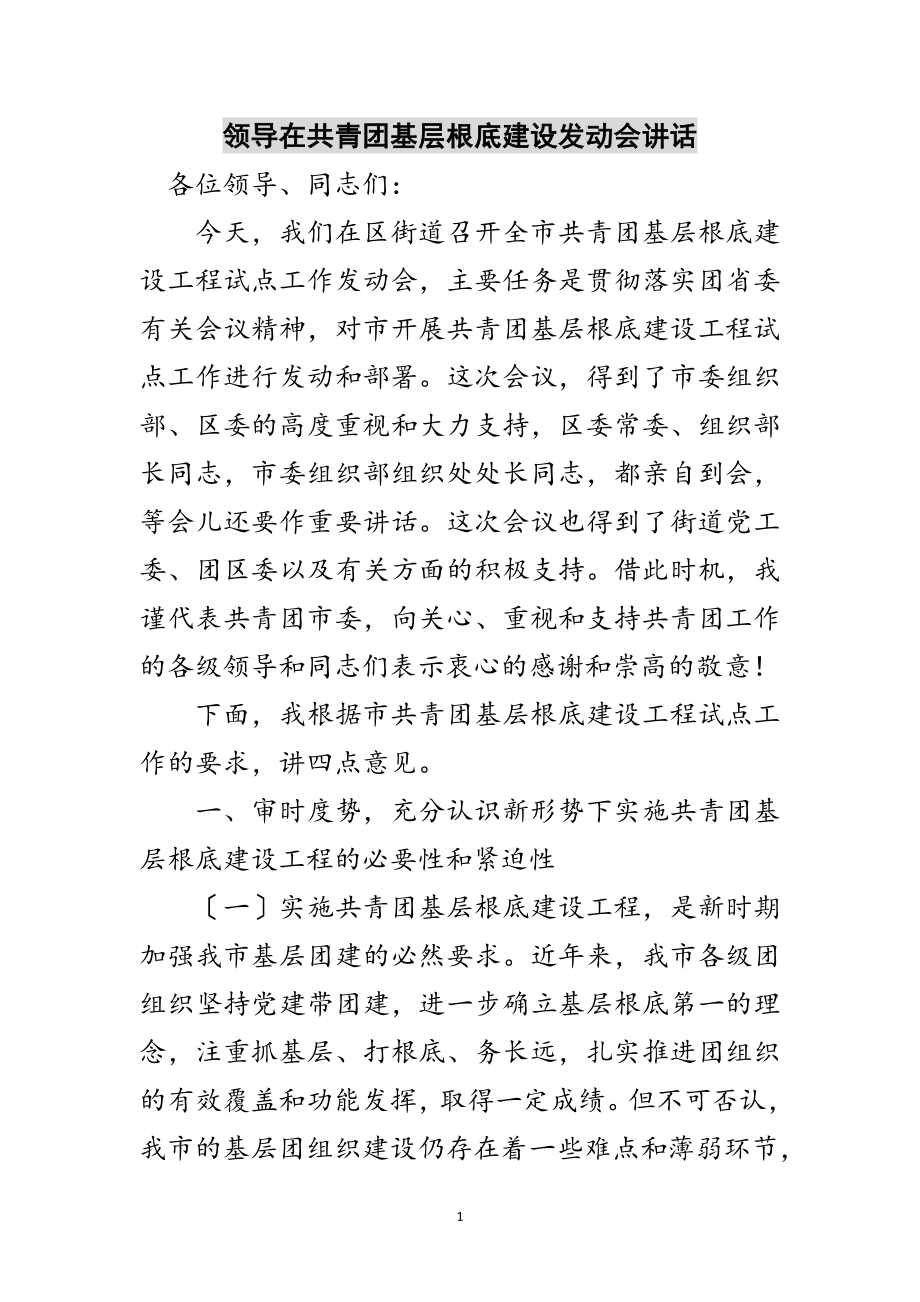 2023年领导在共青团基层基础建设动员会讲话范文.doc_第1页