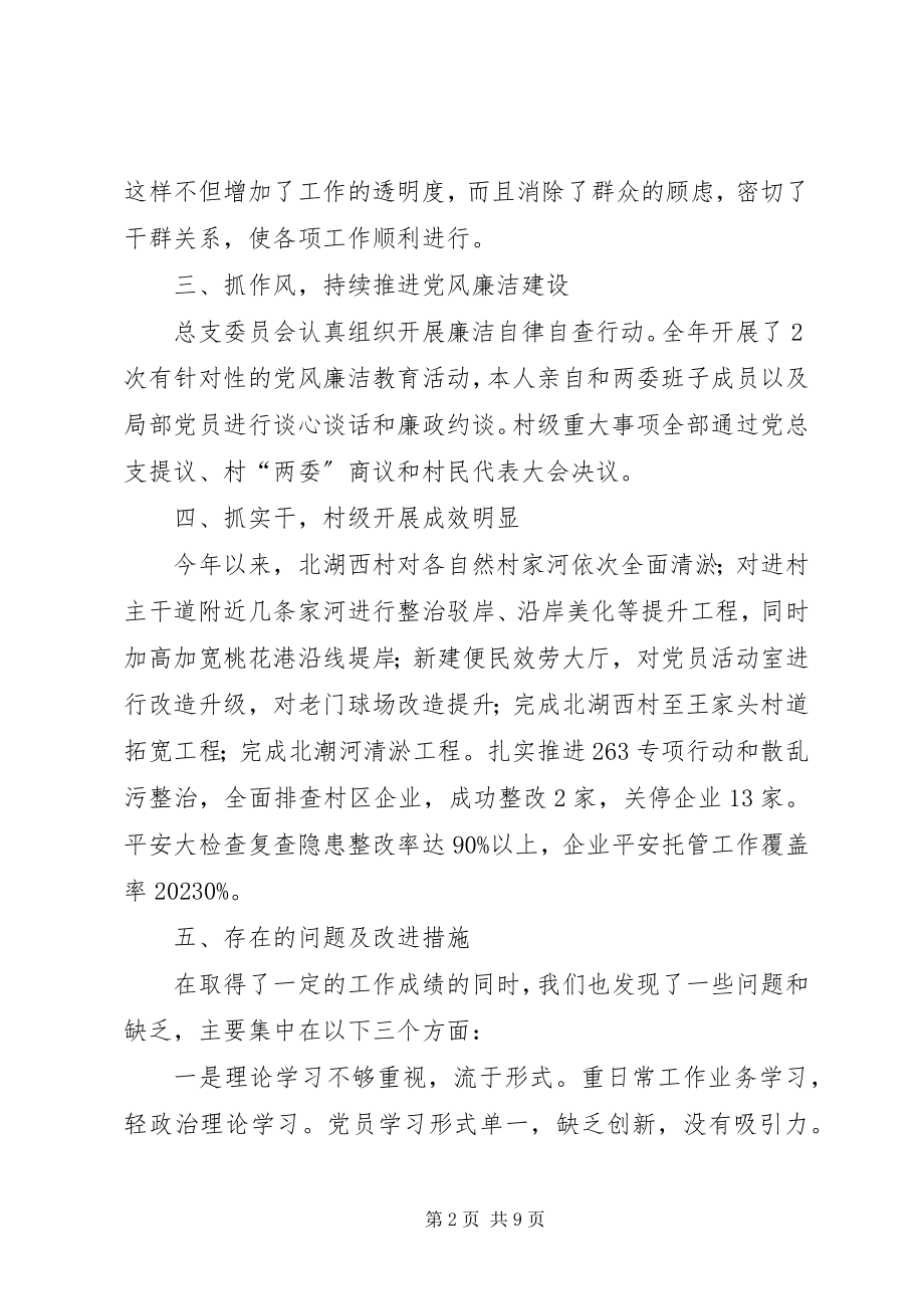 2023年村党总支书记个人工作总结.docx_第2页