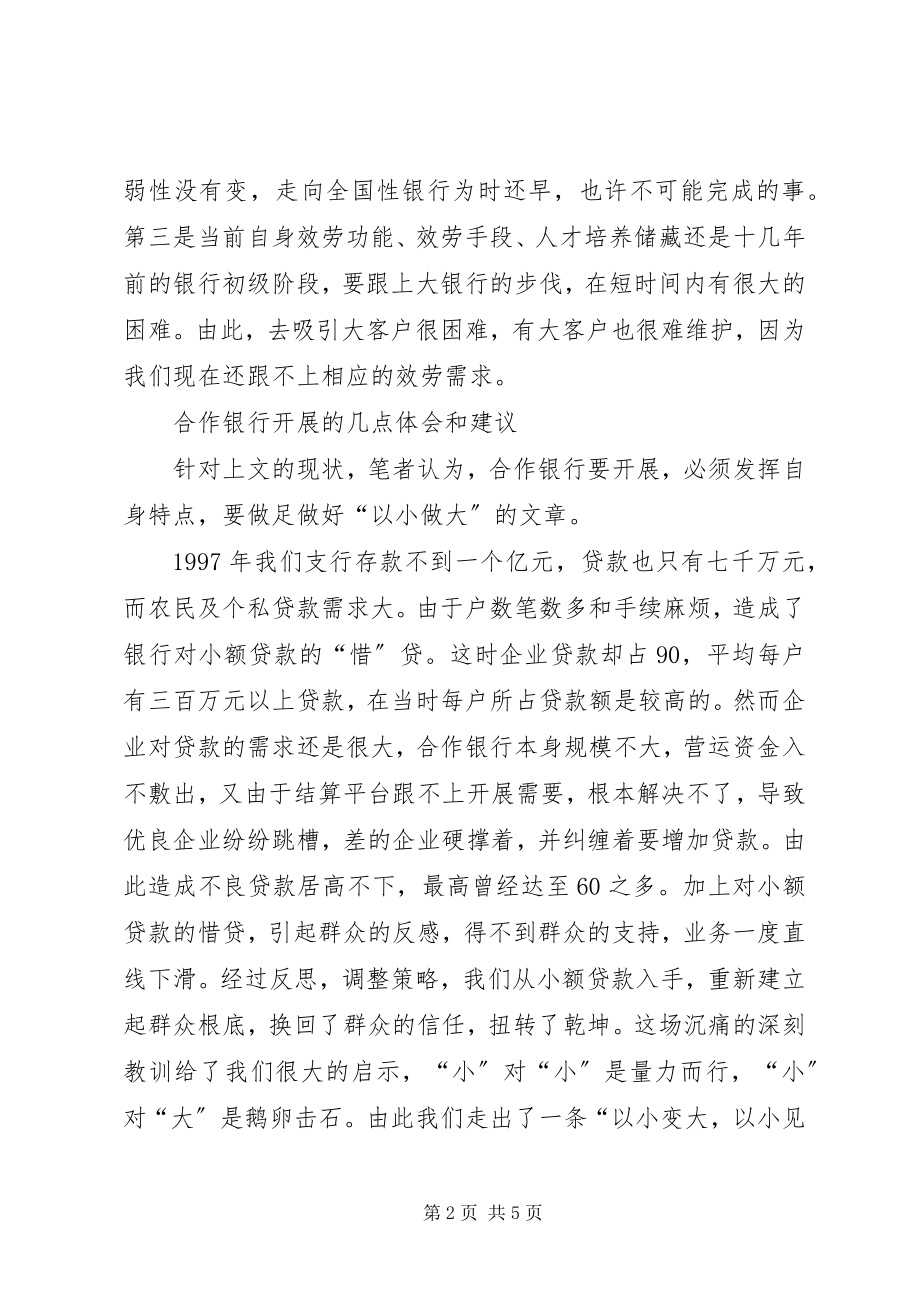 2023年农村合作银行要以小做大.docx_第2页