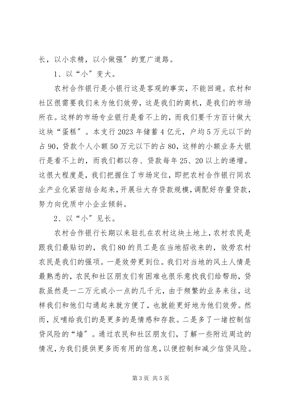 2023年农村合作银行要以小做大.docx_第3页