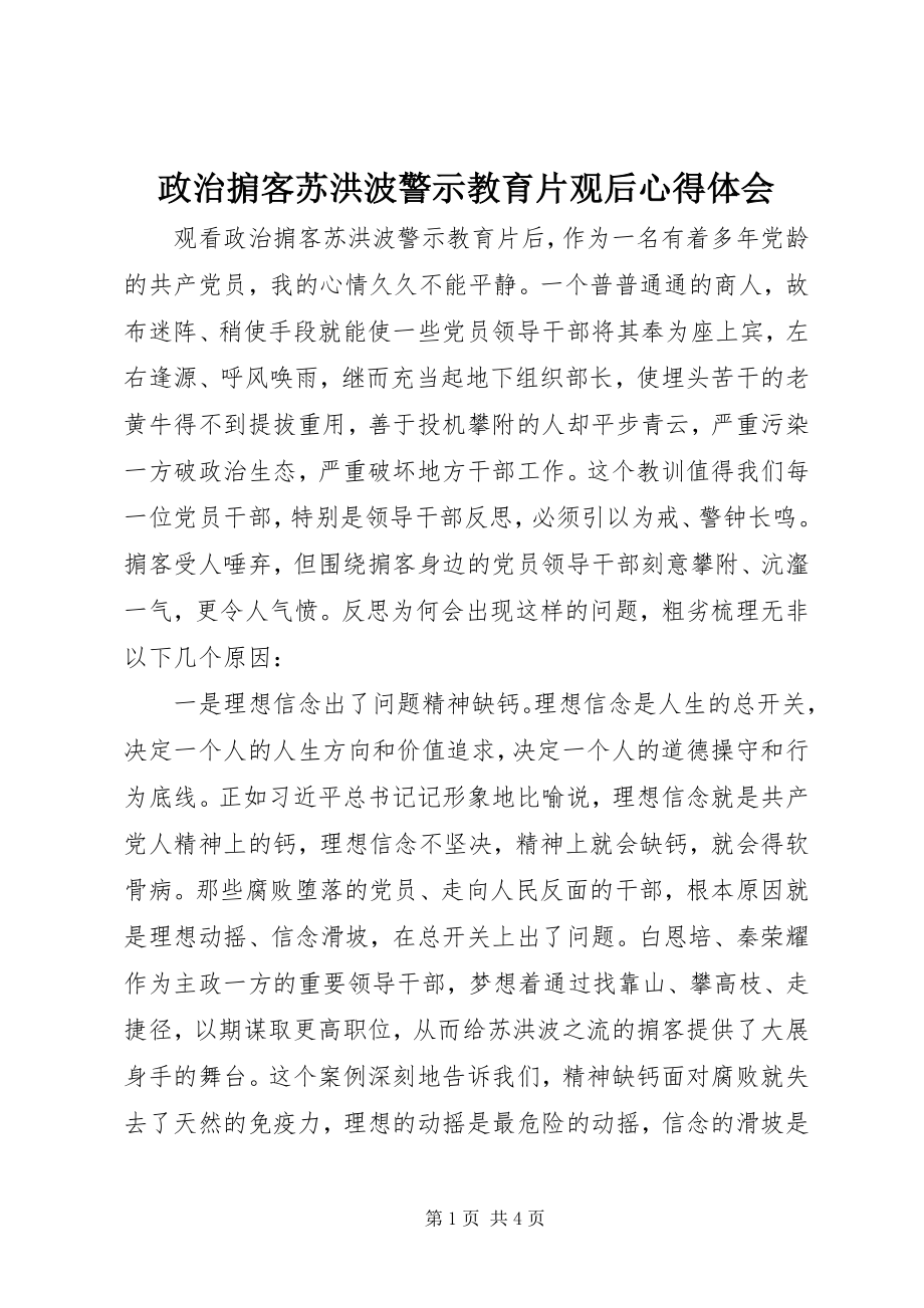 2023年《政治掮客苏洪波》警示教育片观后心得体会.docx_第1页