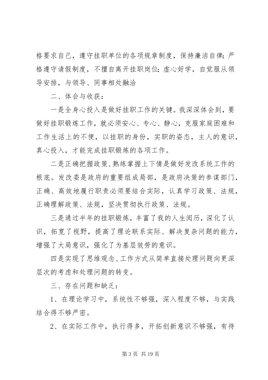 2023年省政府派挂职锻炼工作总结.docx_第3页