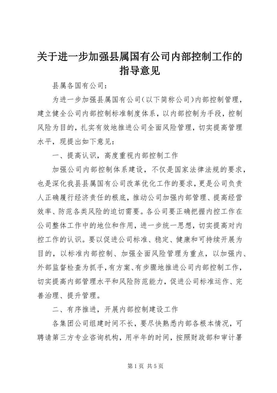 2023年进一步加强县属国有公司内部控制工作的指导意见.docx_第1页