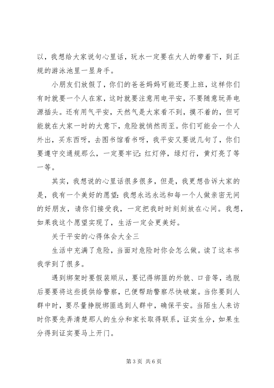 2023年安全的心得体会多篇.docx_第3页