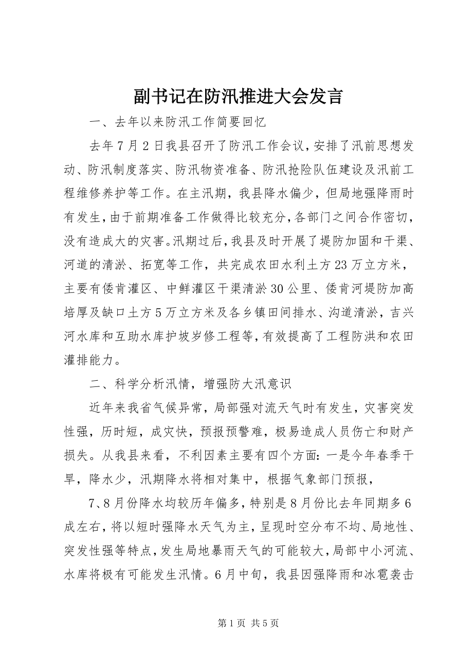 2023年副书记在防汛推进大会讲话.docx_第1页