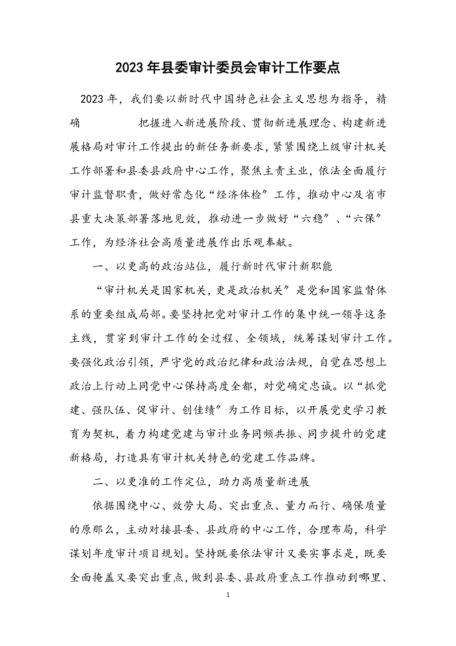 2023年县委审计委员会审计工作要点.docx_第1页