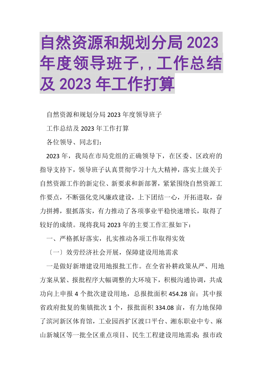 2023年自然资源和规划分局度领导班子,,工作总结及工作打算.doc_第1页