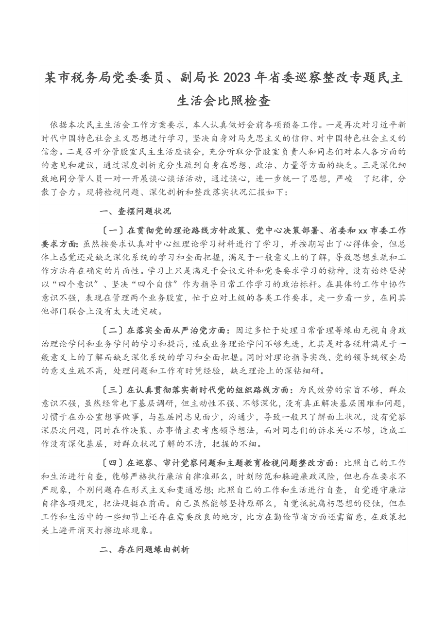 某市税务局党委委员、副局长2023年省委巡视整改专题民主生活会对照检查.doc_第1页