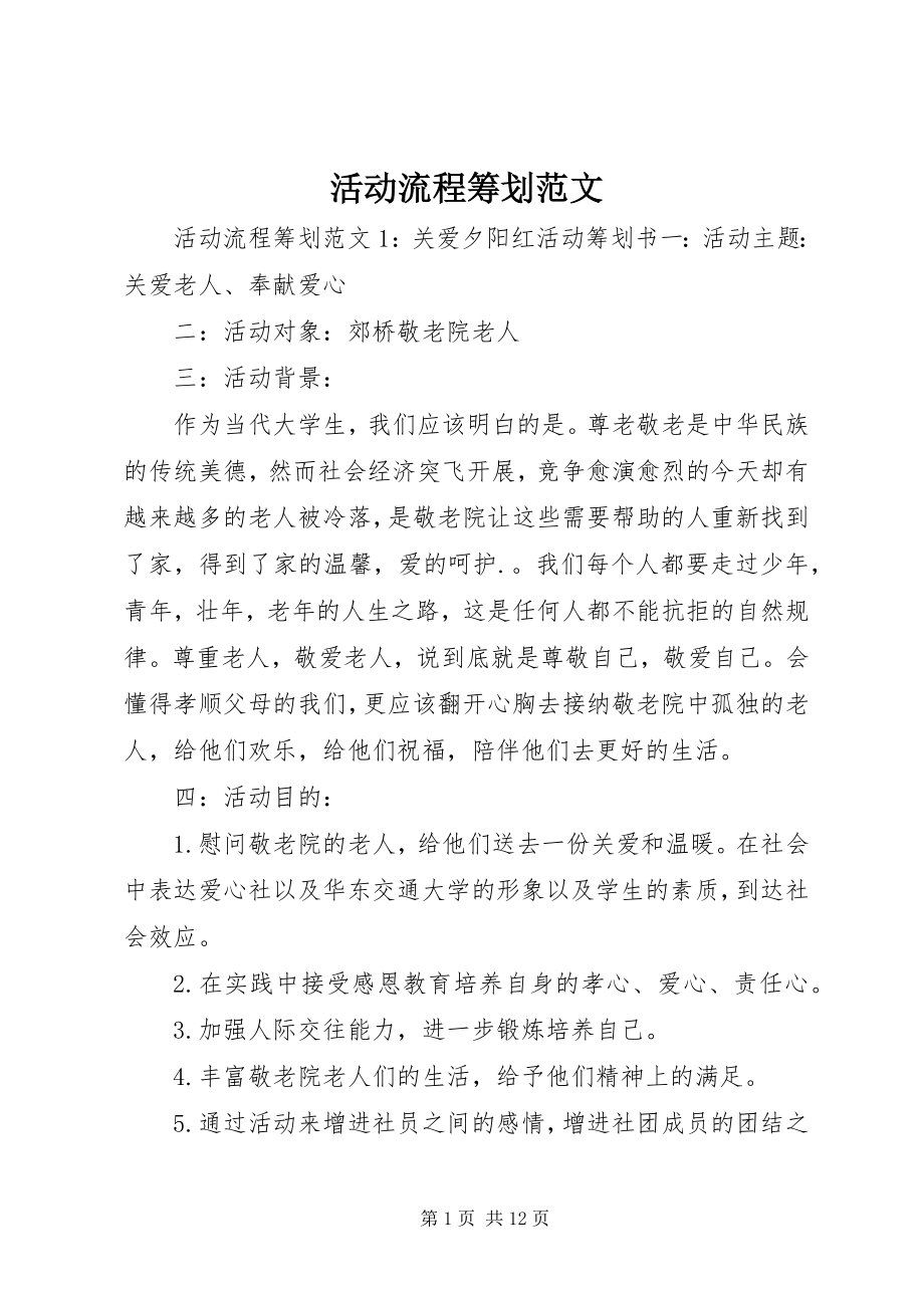 2023年活动流程策划.docx_第1页