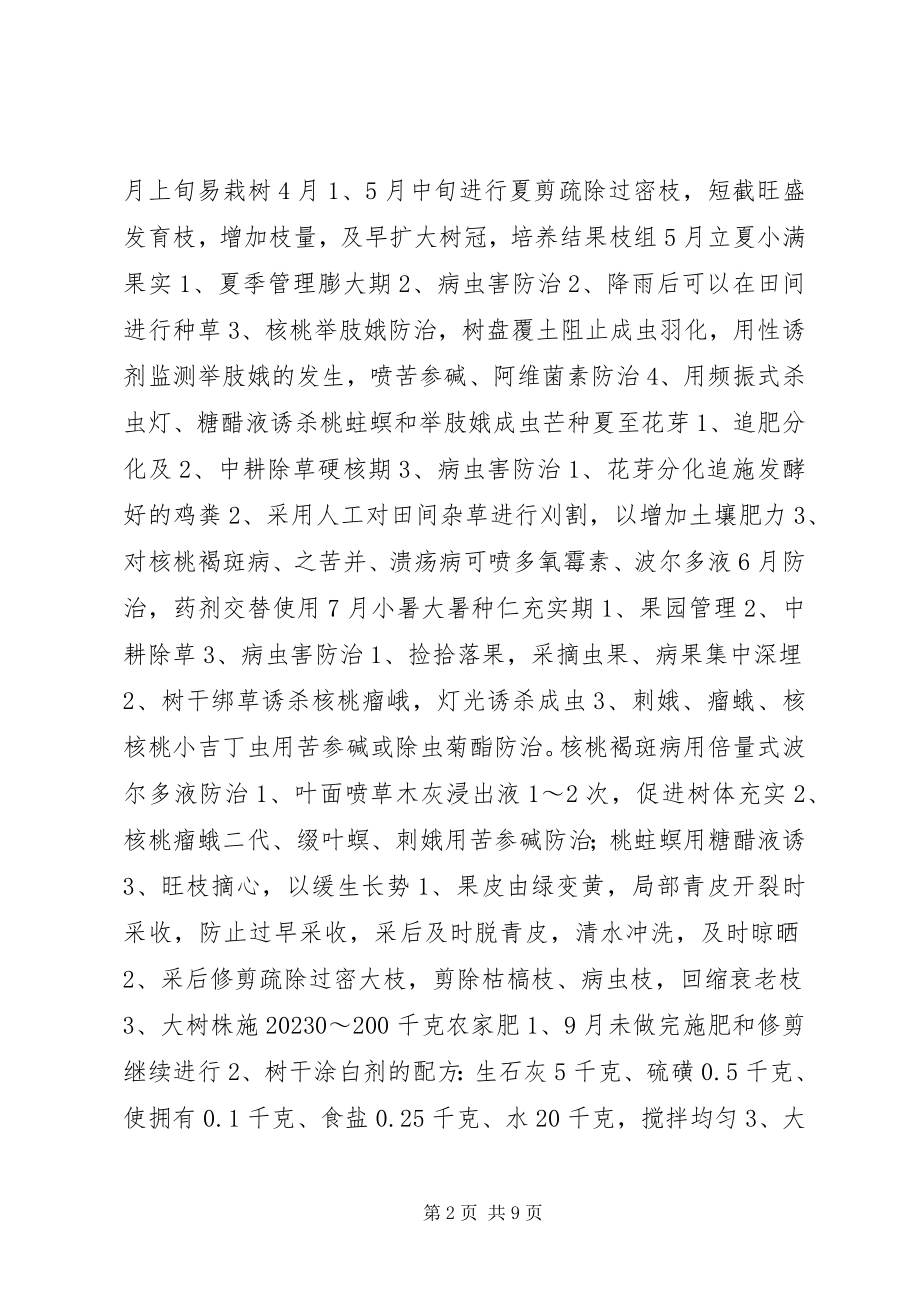 2023年核桃管理周工作历.docx_第2页