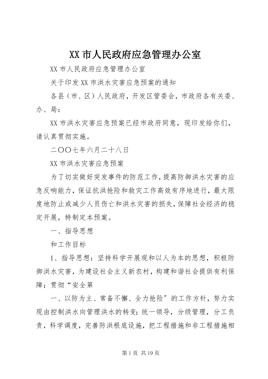 2023年XX市人民政府应急管理办公室.docx_第1页