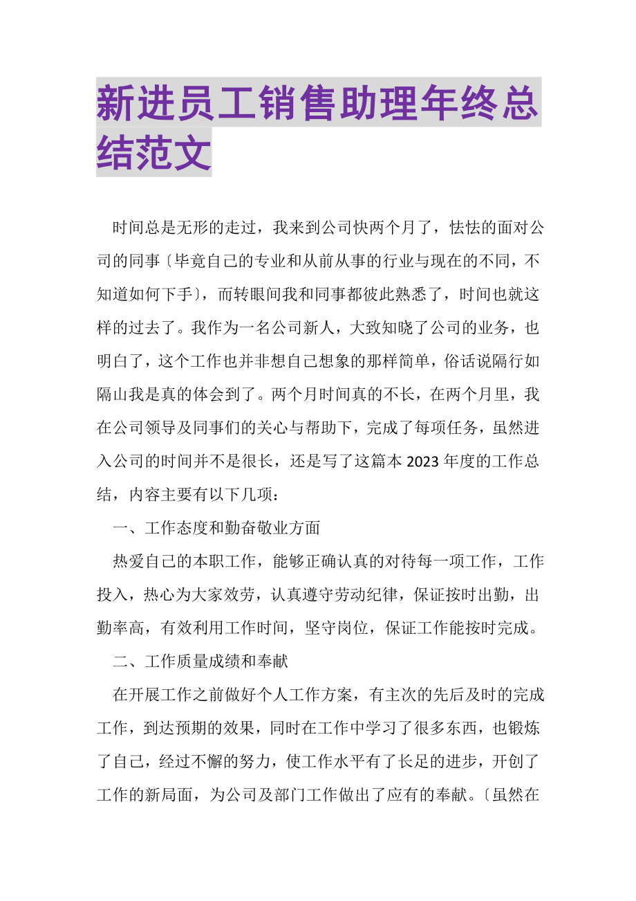 2023年新进员工销售助理年终总结范文.doc_第1页