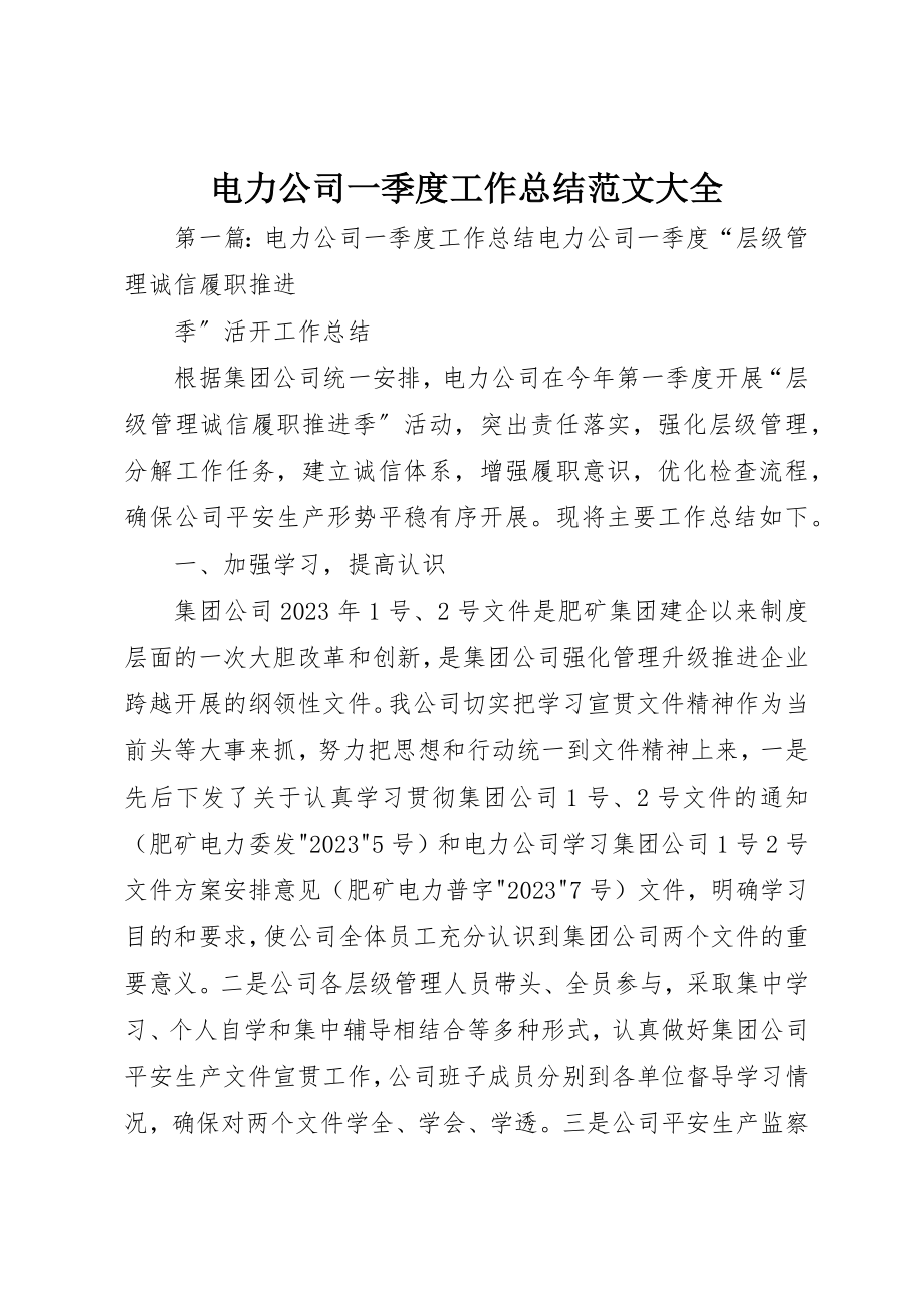 2023年电力公司一季度工作总结大全新编.docx_第1页