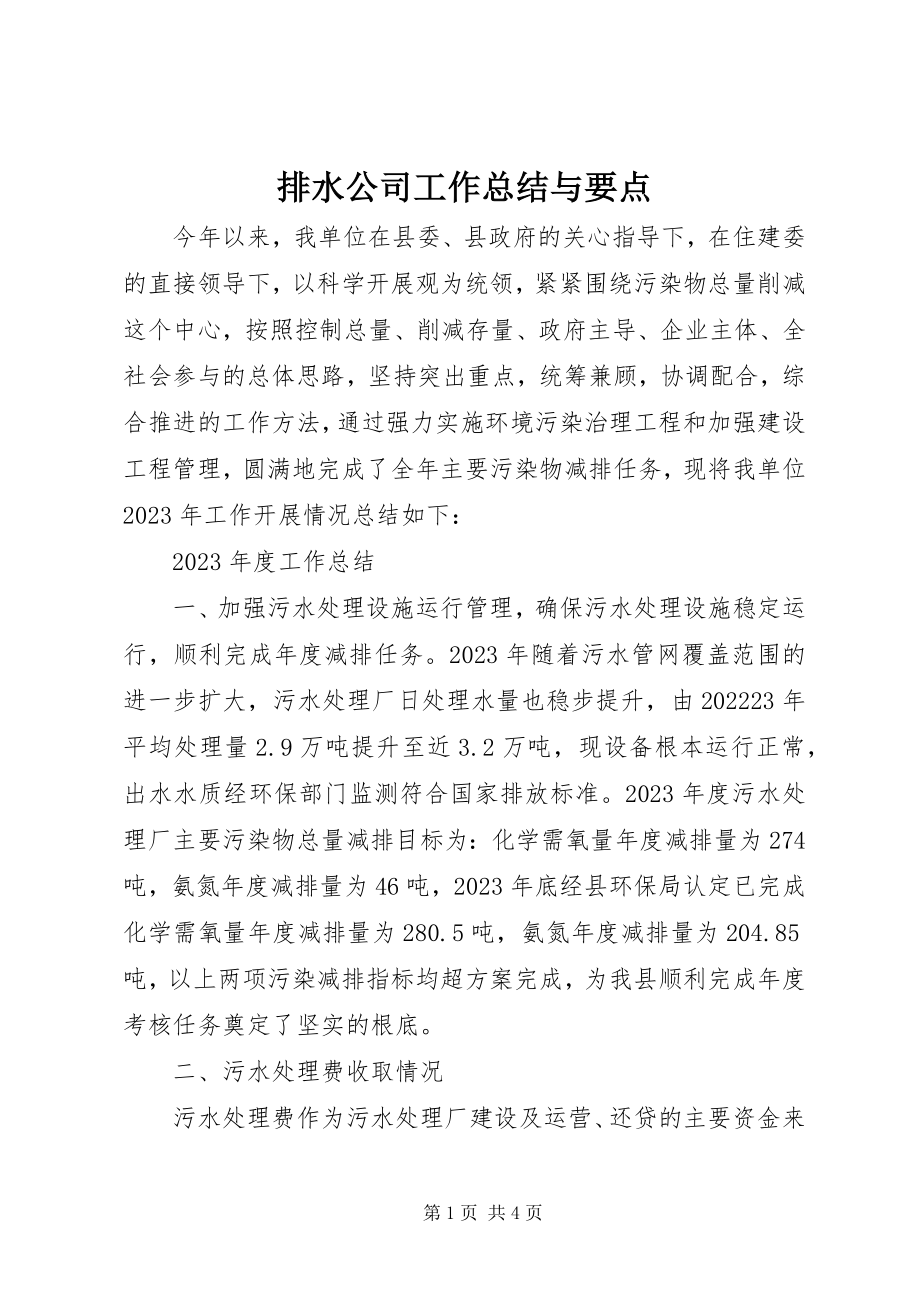 2023年排水公司工作总结与要点.docx_第1页