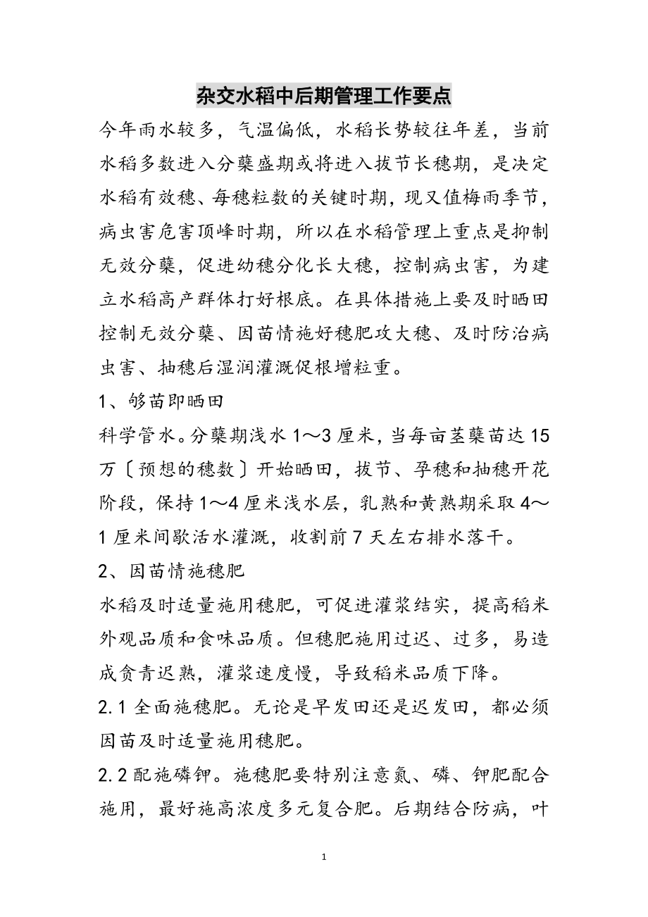 2023年杂交水稻中后期管理工作要点范文.doc_第1页