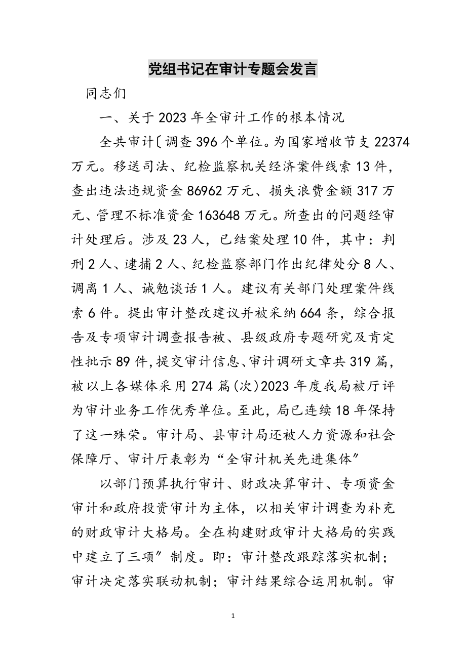 2023年党组书记在审计专题会发言范文.doc_第1页