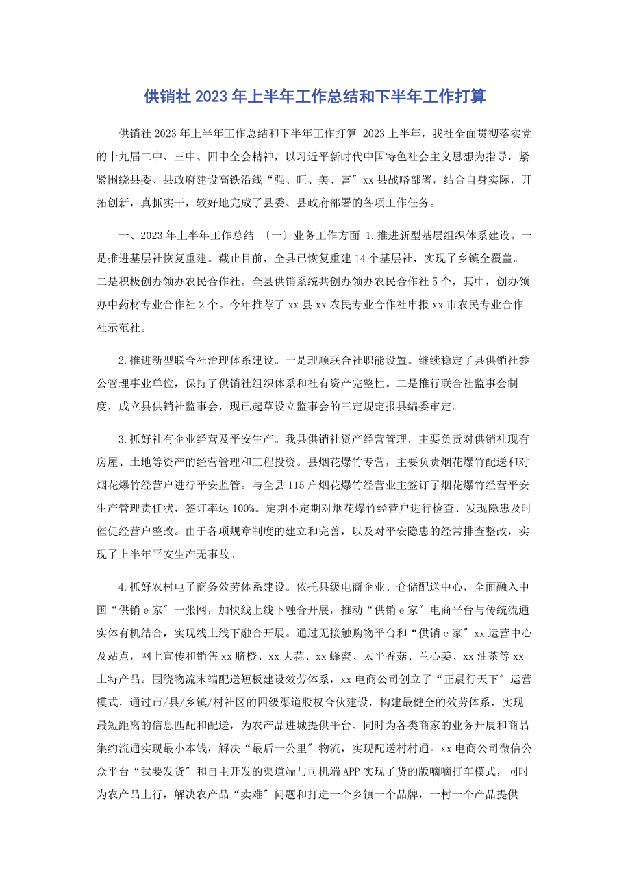 2023年供销社上半年工作总结和下半年工作打算.docx_第1页