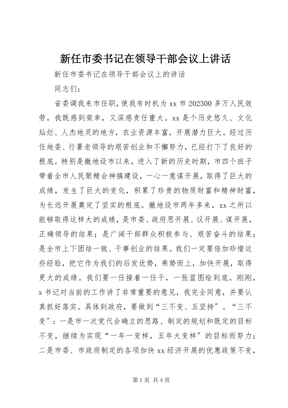 2023年新任市委书记在领导干部会议上致辞.docx_第1页