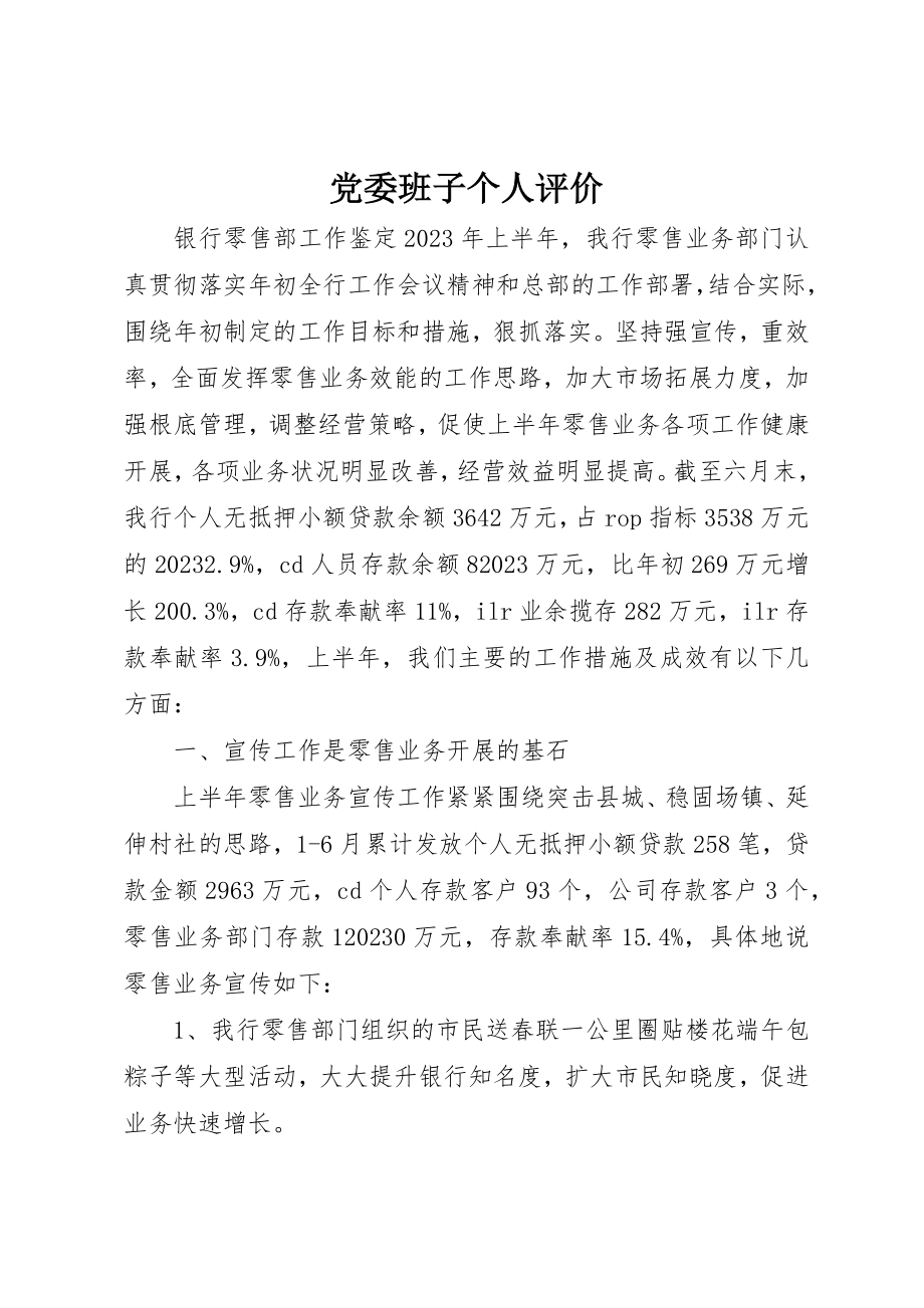 2023年党委班子个人评价精选.docx_第1页