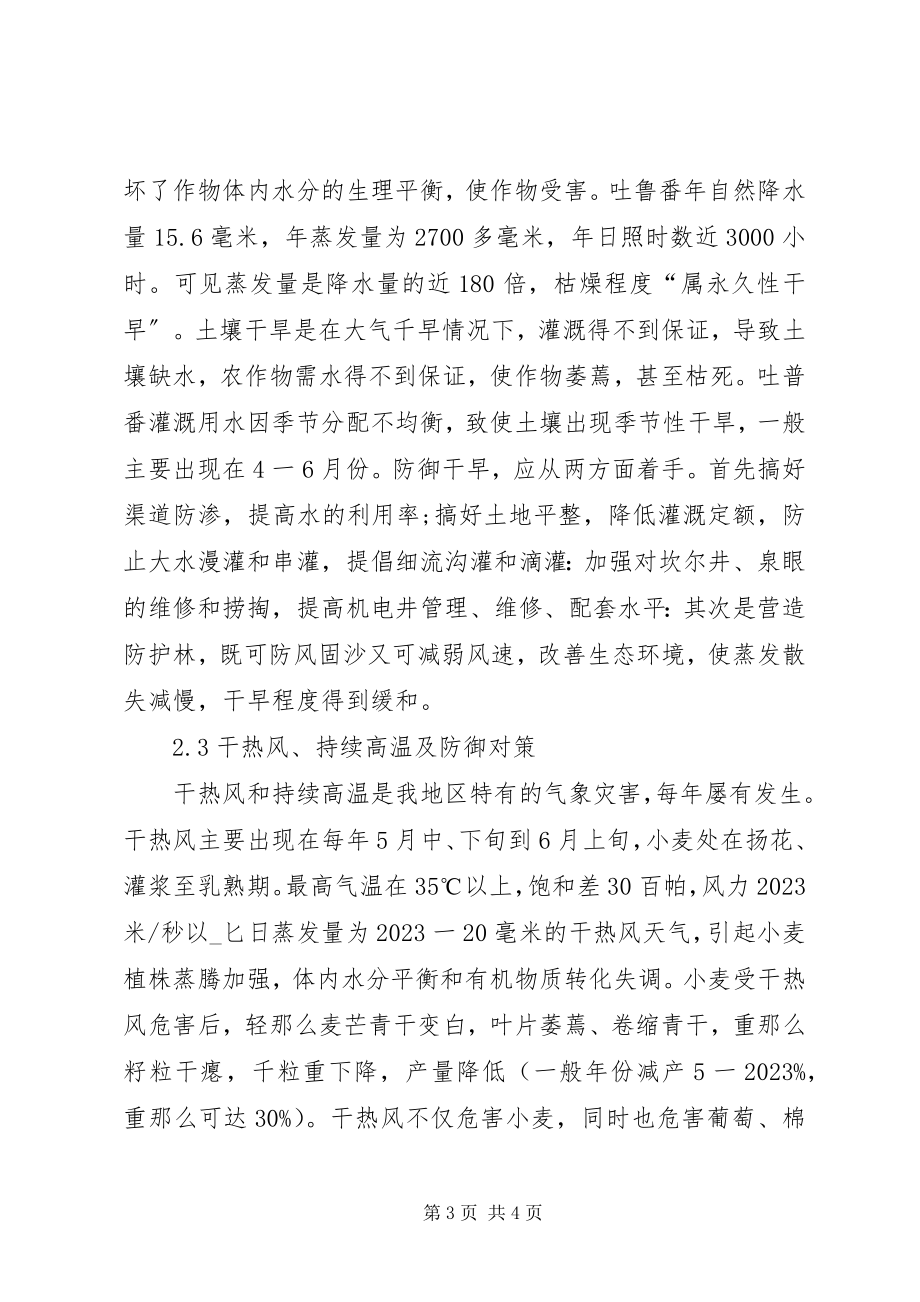 2023年天灾对吐鲁番农业的影响.docx_第3页