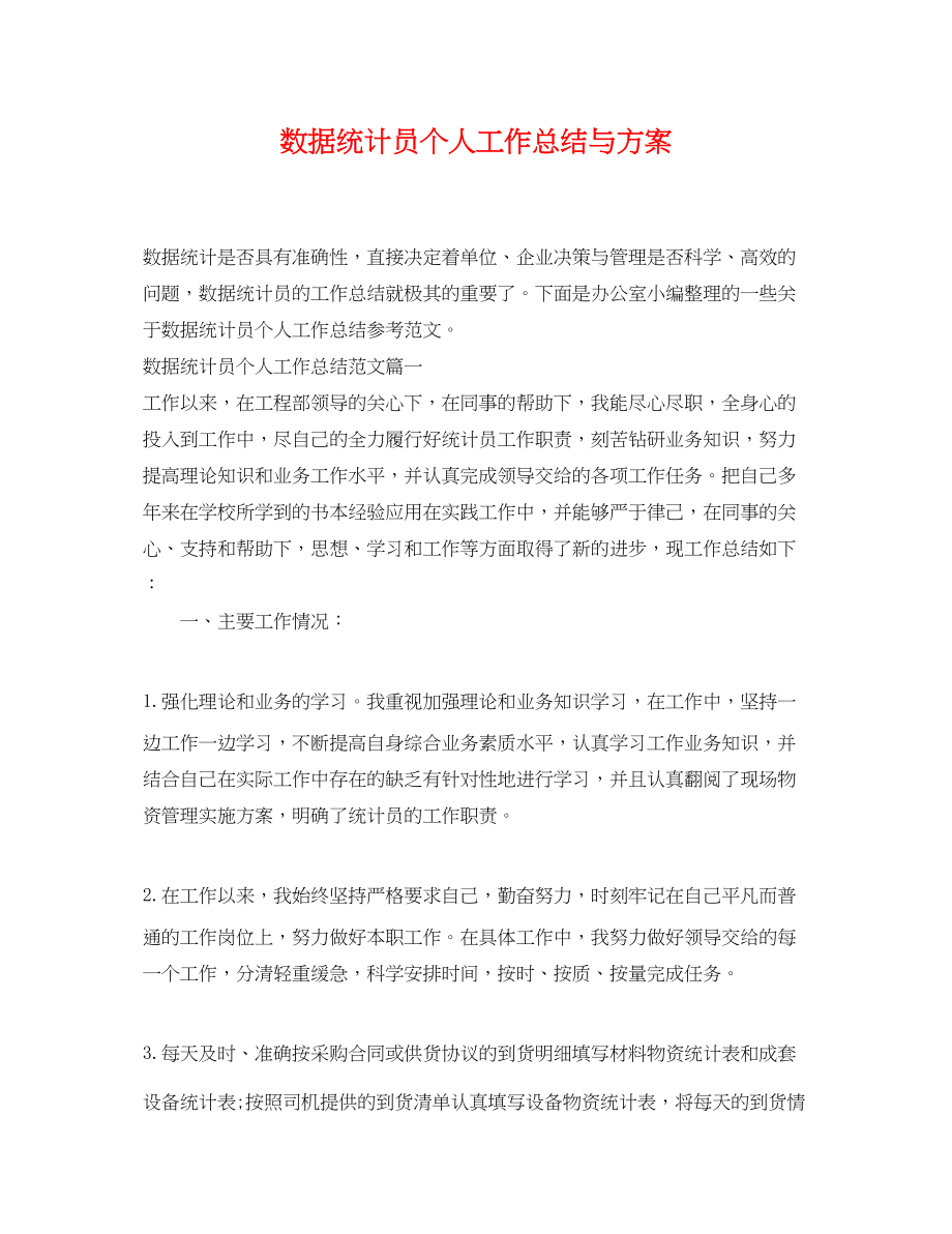 2023年数据统计员个人工作总结与计划.docx_第1页