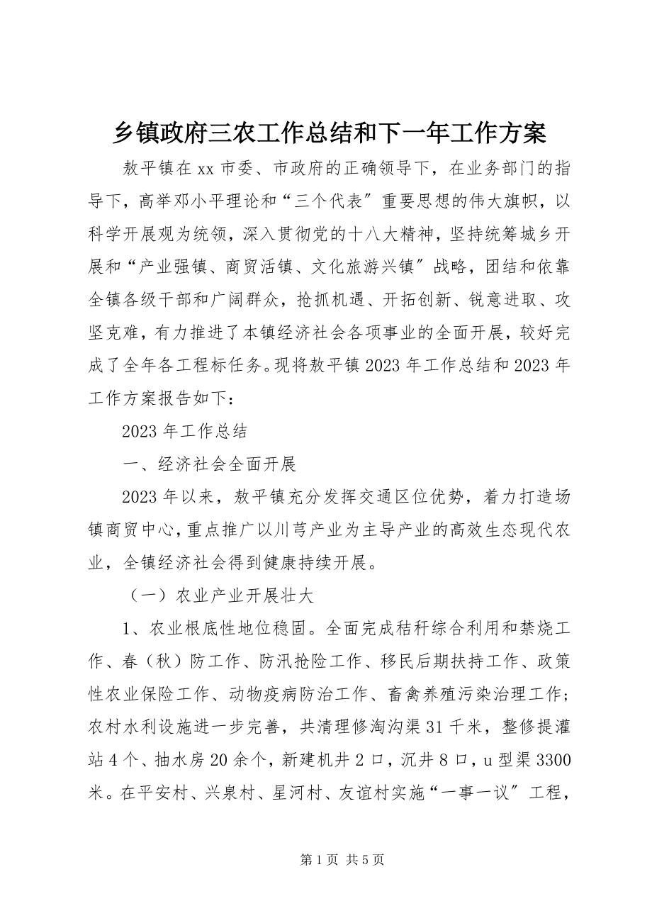 2023年乡镇政府三农工作总结和下一年工作计划.docx_第1页