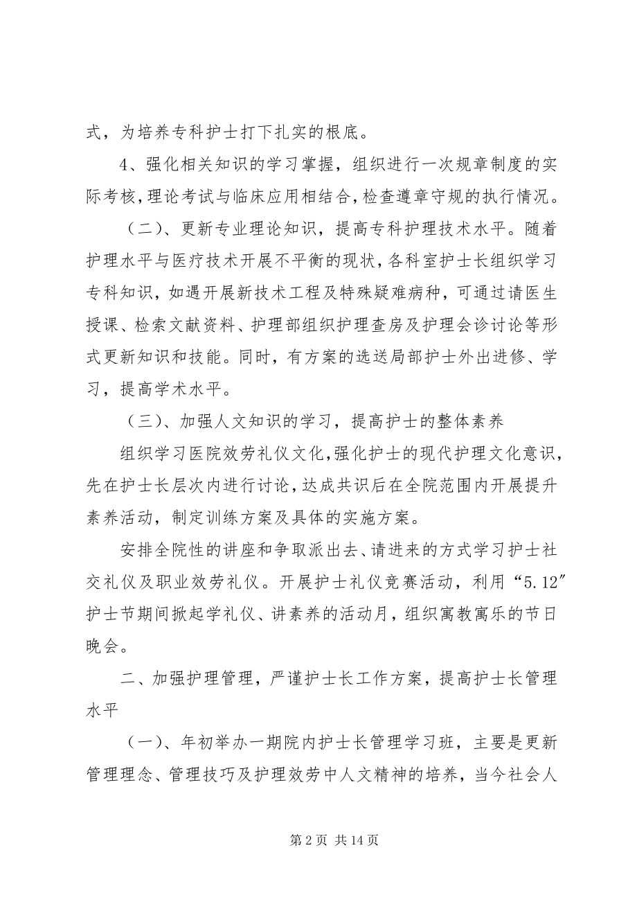 2023年个人护理工作计划新编.docx_第2页