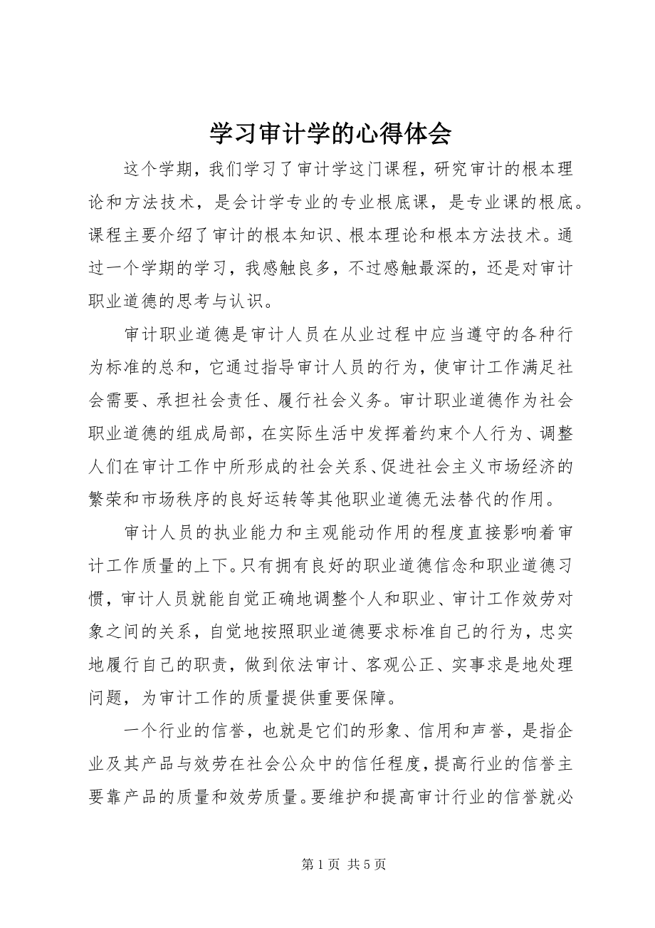 2023年学习审计学的心得体会.docx_第1页