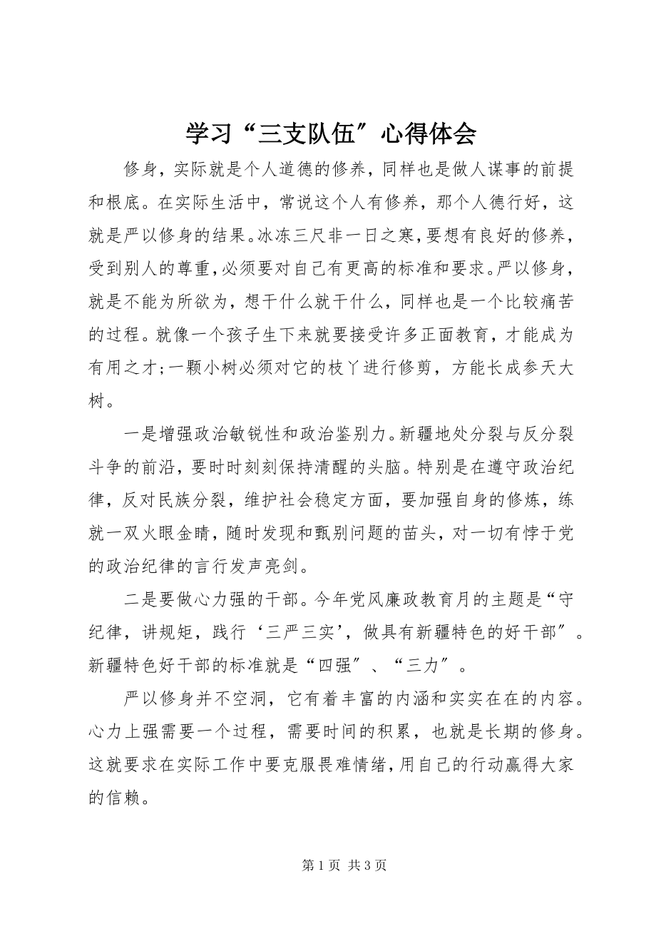 2023年学习“三支队伍”心得体会.docx_第1页