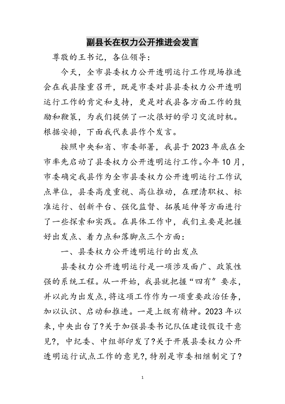 2023年副县长在权力公开推进会发言范文.doc_第1页