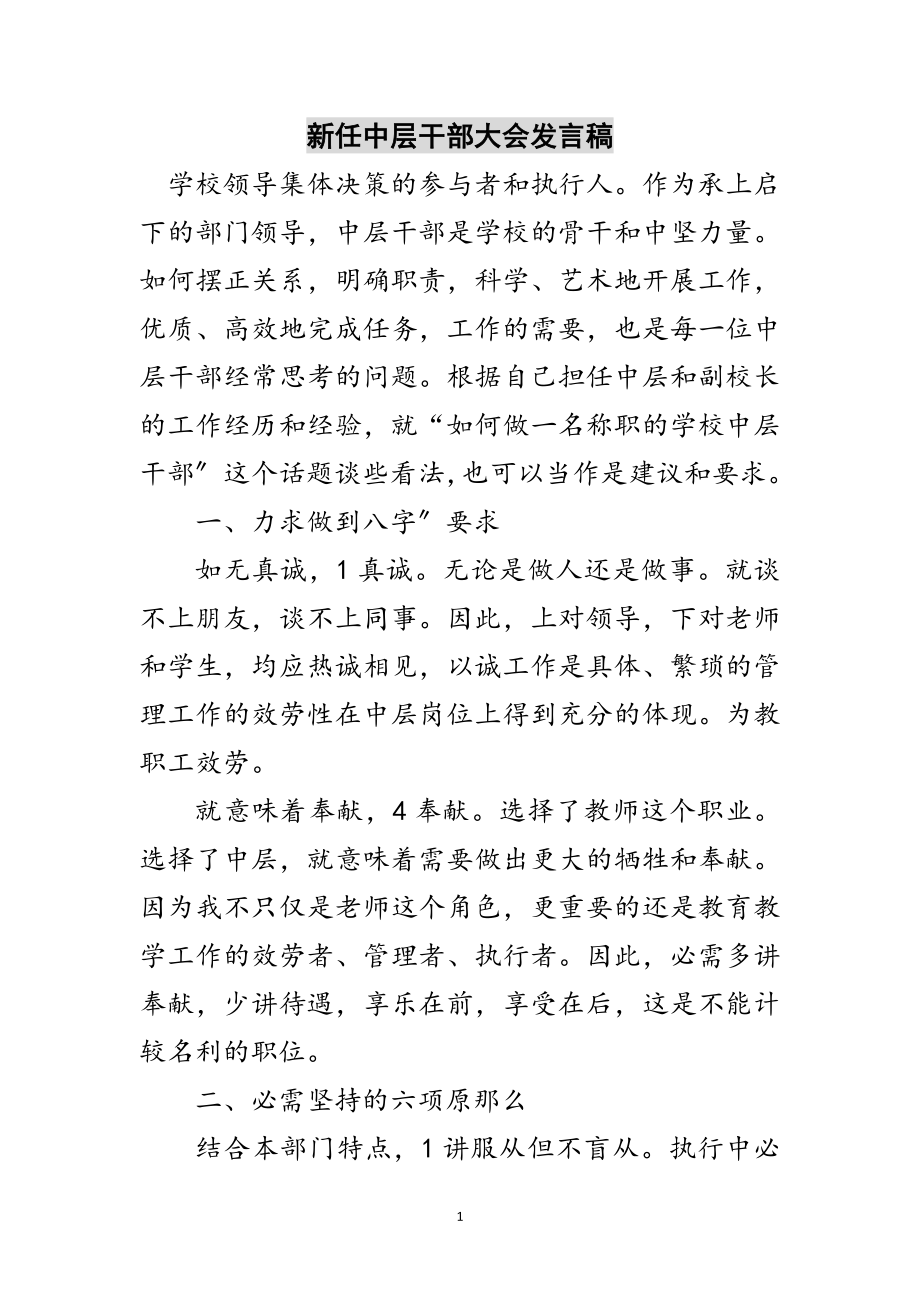 2023年新任中层干部大会发言稿范文.doc_第1页