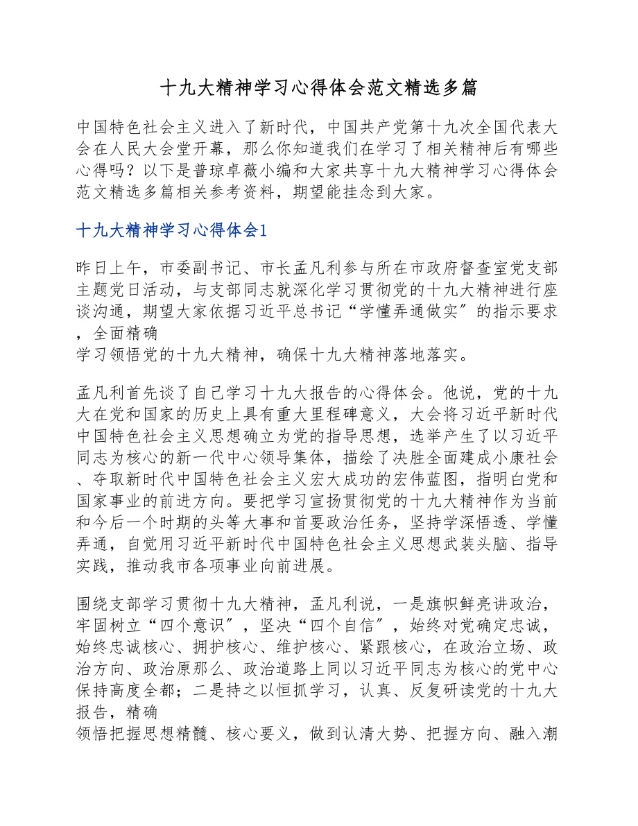 2023年十九大精神学习心得体会多篇.docx_第1页