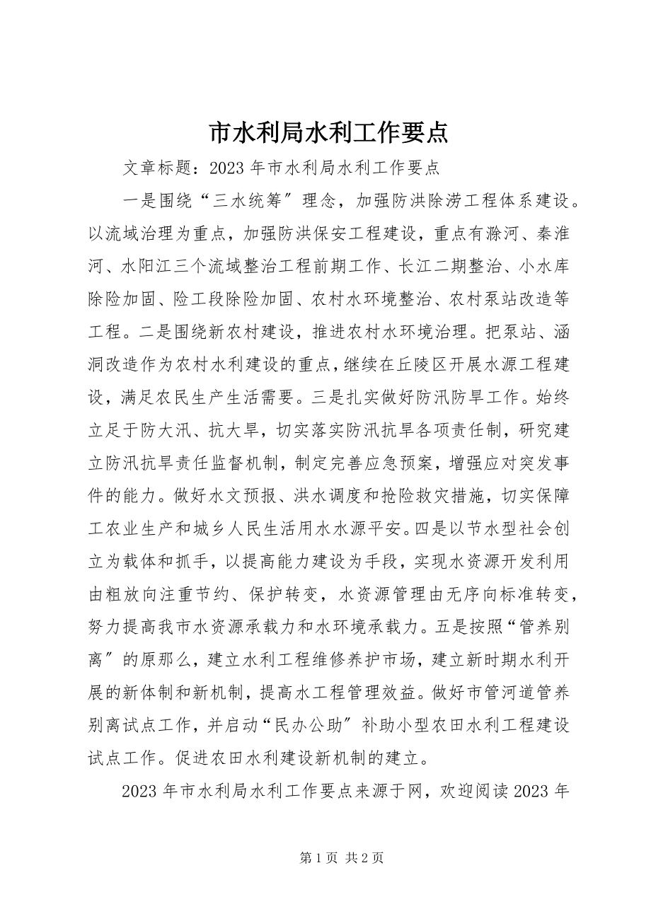 2023年市水利局水利工作要点.docx_第1页