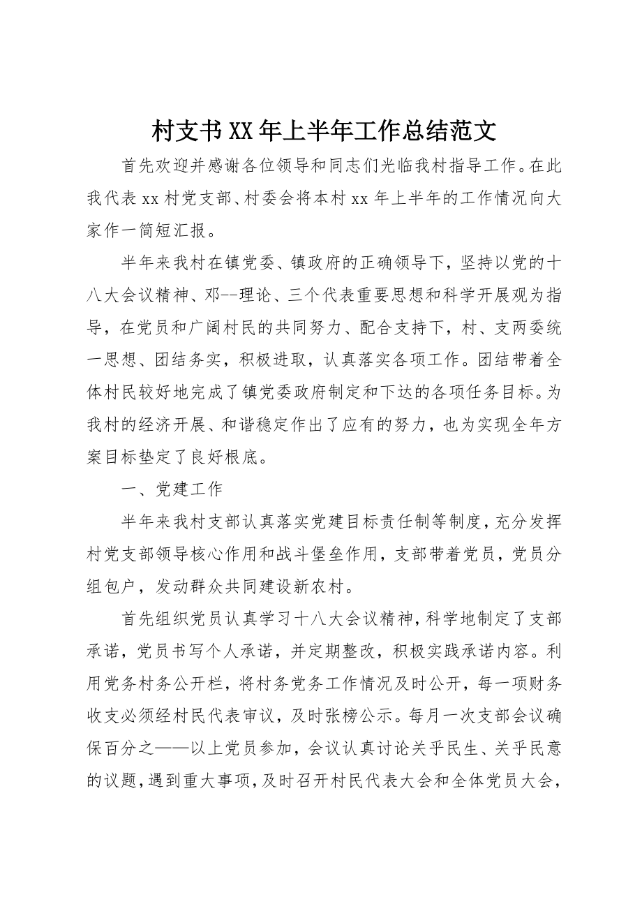 2023年村支书某年上半年工作总结2新编.docx_第1页