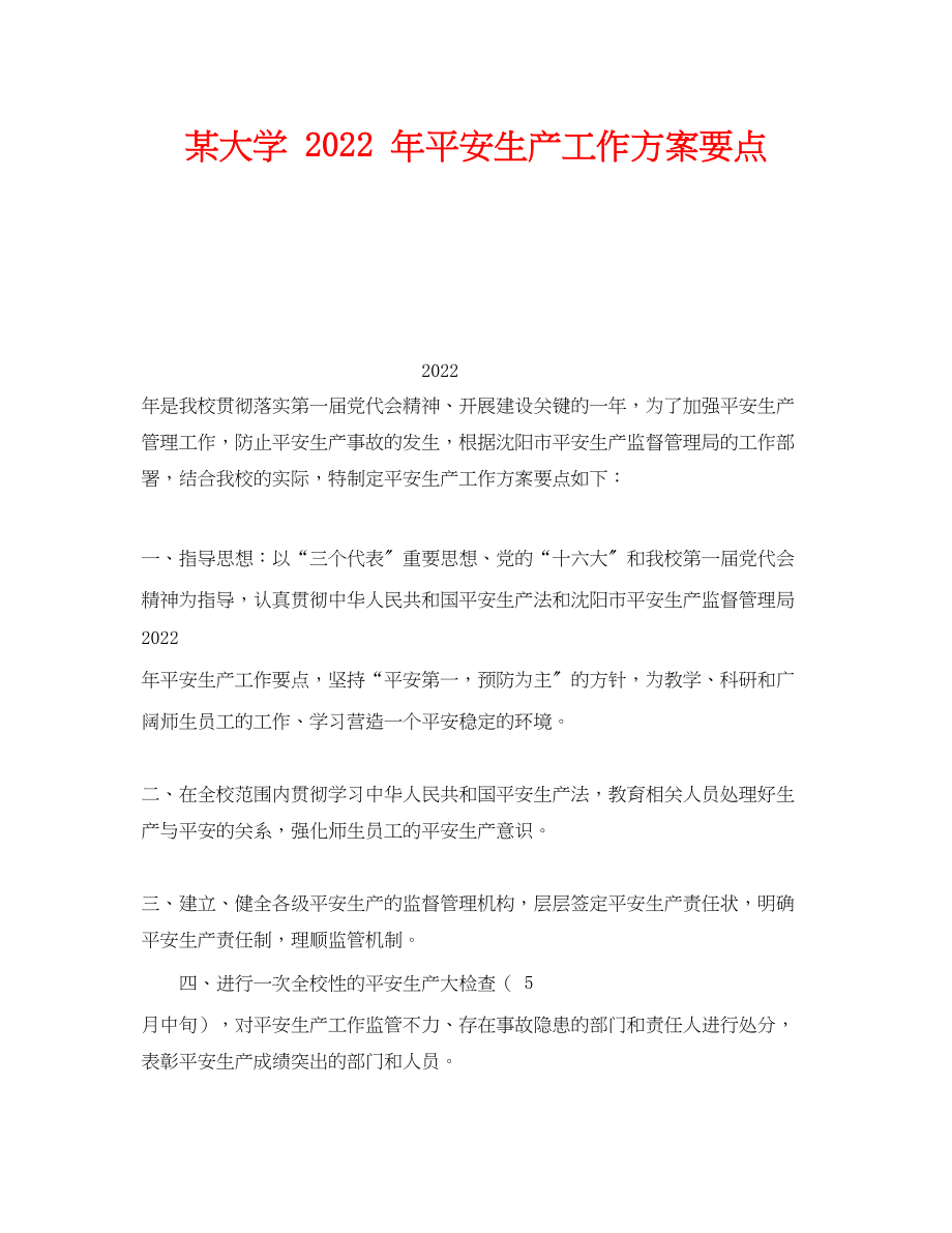 2023年《安全管理文档》之某大学年安全生产工作计划要点.docx_第1页