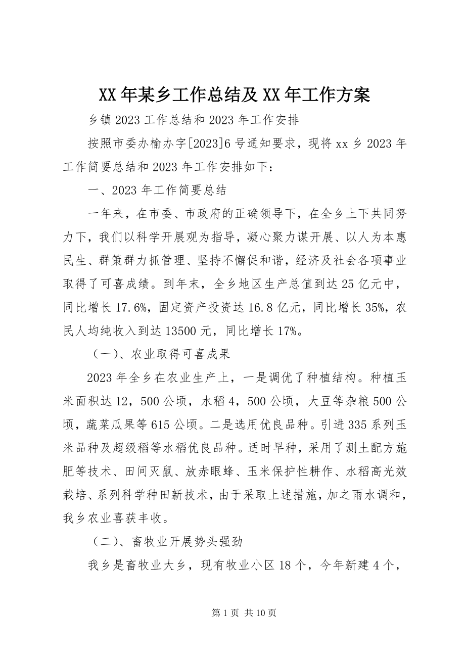 2023年某乡工作总结及工作计划.docx_第1页