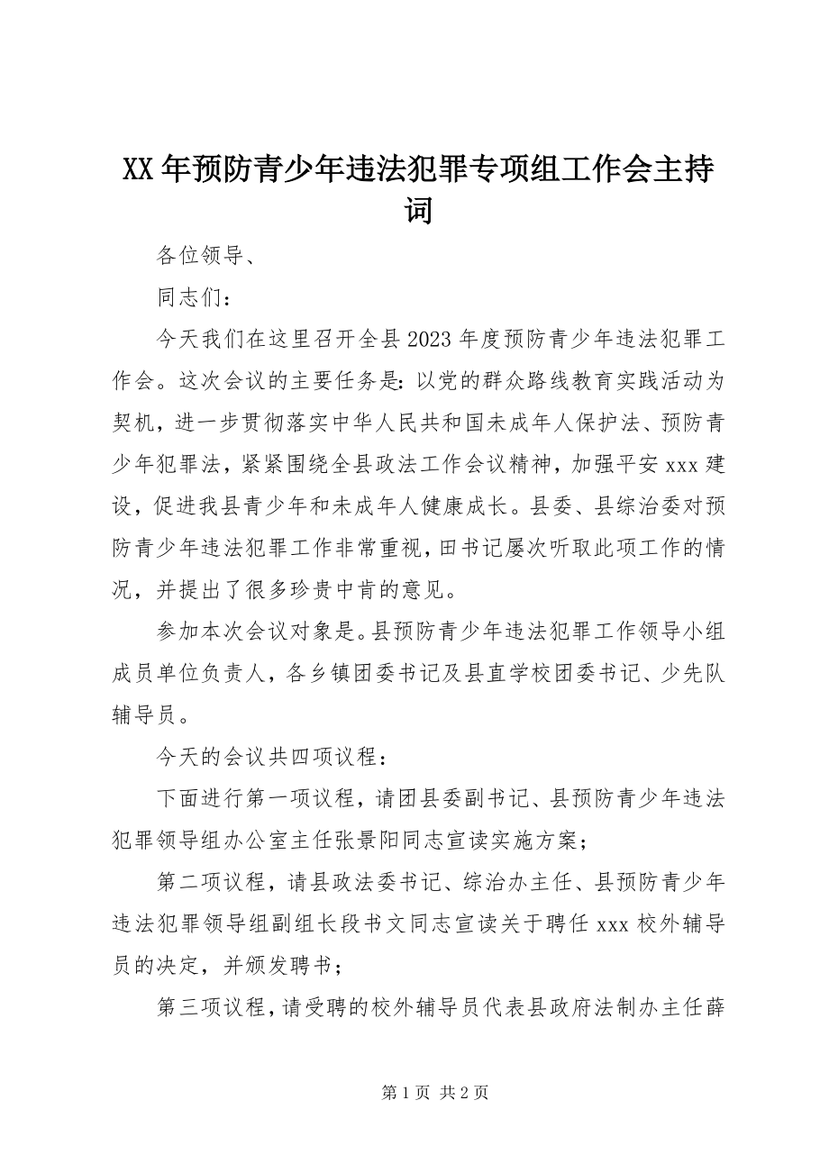 2023年预防青少年违法犯罪专项组工作会主持词.docx_第1页