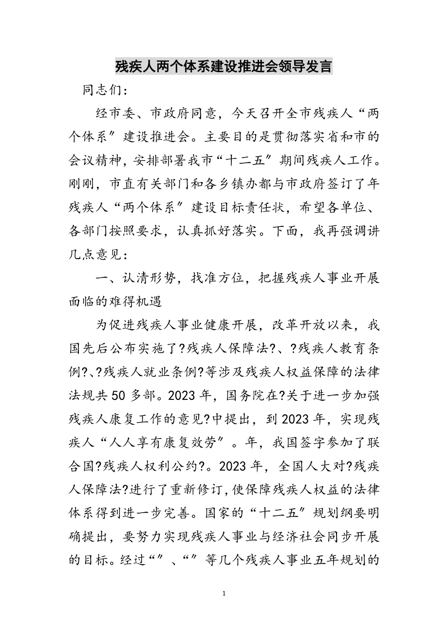 2023年残疾人两个体系建设推进会领导发言范文.doc_第1页